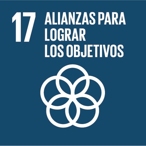 alianzas para lograr los objetivos